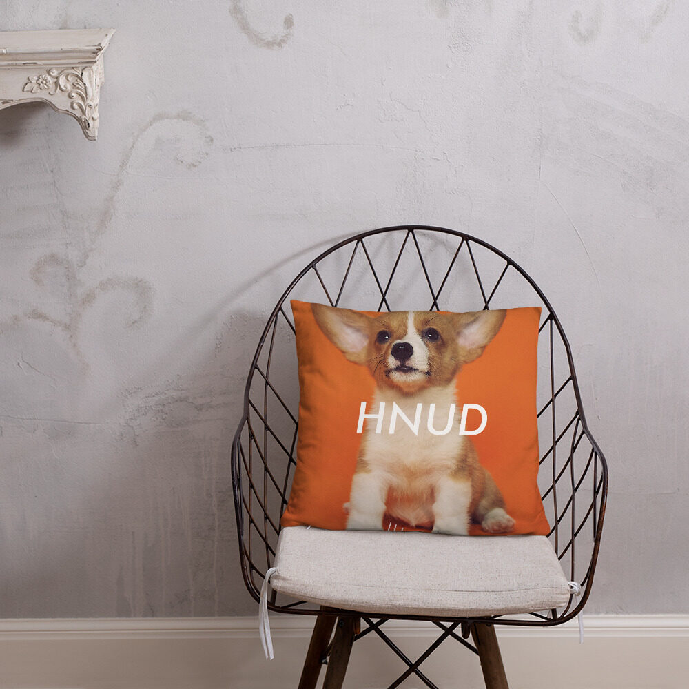 Hund og kat
